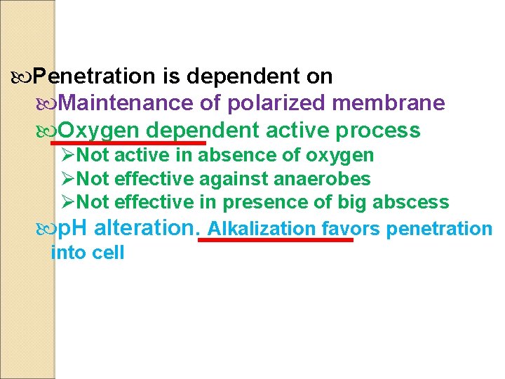  Penetration is dependent on Maintenance of polarized membrane Oxygen dependent active process ØNot