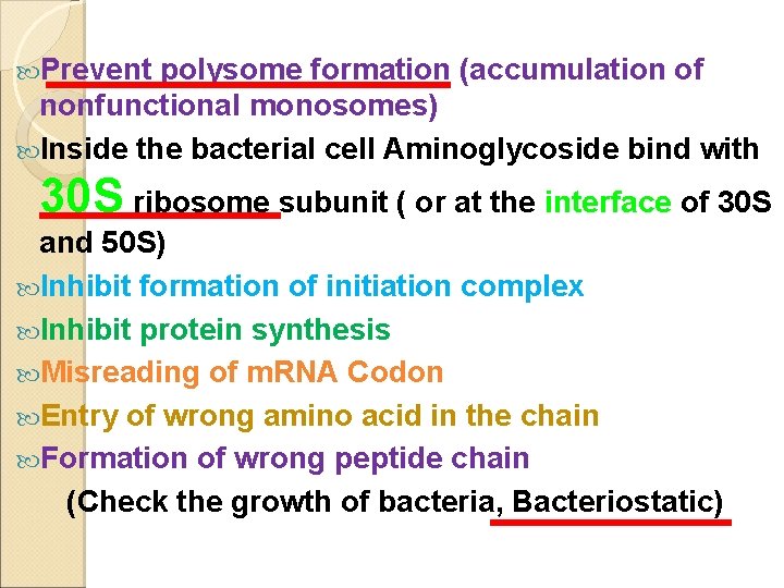  Prevent polysome formation (accumulation of nonfunctional monosomes) Inside the bacterial cell Aminoglycoside bind