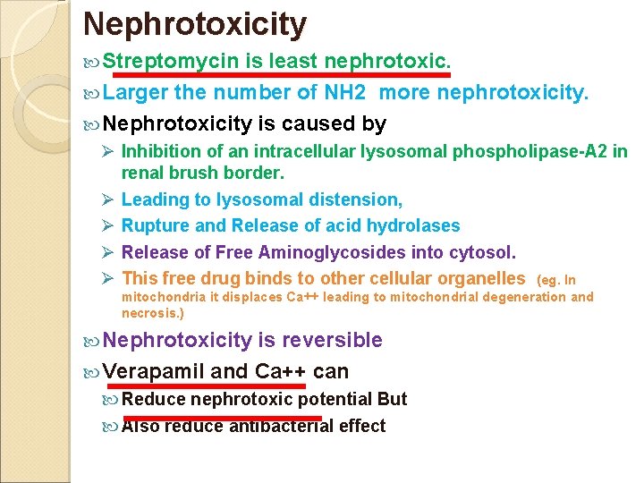 Nephrotoxicity Streptomycin is least nephrotoxic. Larger the number of NH 2 more nephrotoxicity. Nephrotoxicity