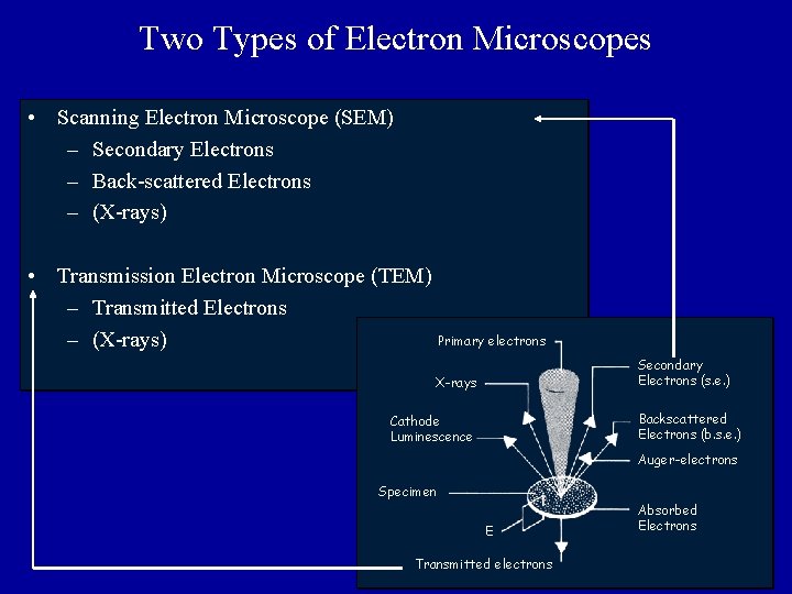 Two Types of Electron Microscopes • Scanning Electron Microscope (SEM) – Secondary Electrons –