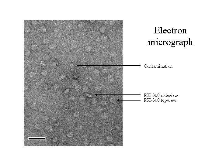 Electron micrograph Contamination PSI-300 sideview PSI-300 topview 