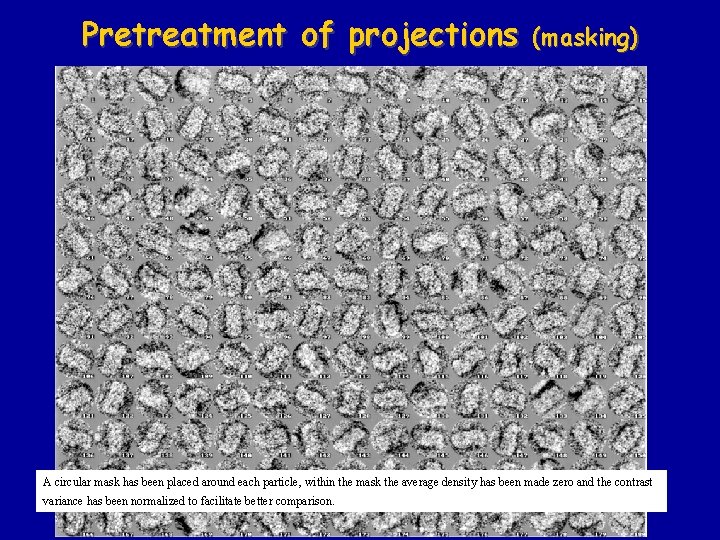 Pretreatment of projections (masking) A circular mask has been placed around each particle, within