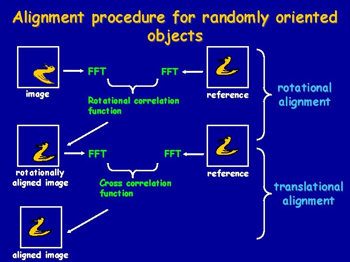 Alignment procedure for randomly oriented objects FFT image Rotational correlation function FFT rotationally aligned