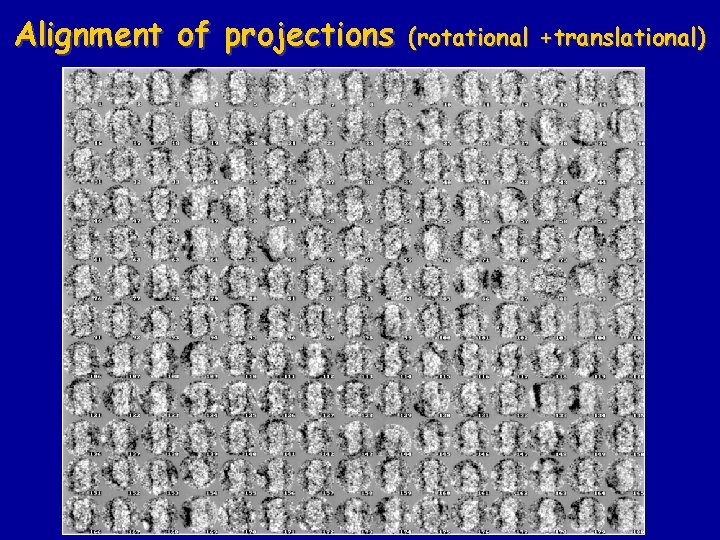 Alignment of projections (rotational +translational) 