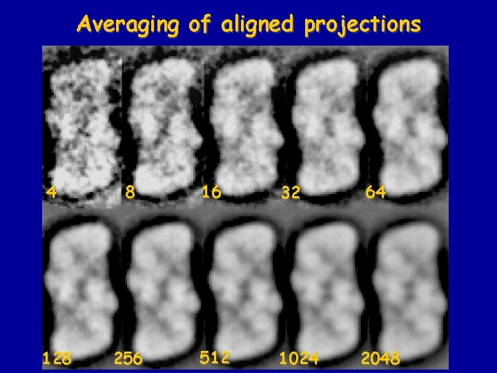 Averaging of aligned projections 4 128 8 16 32 256 512 1024 64 2048