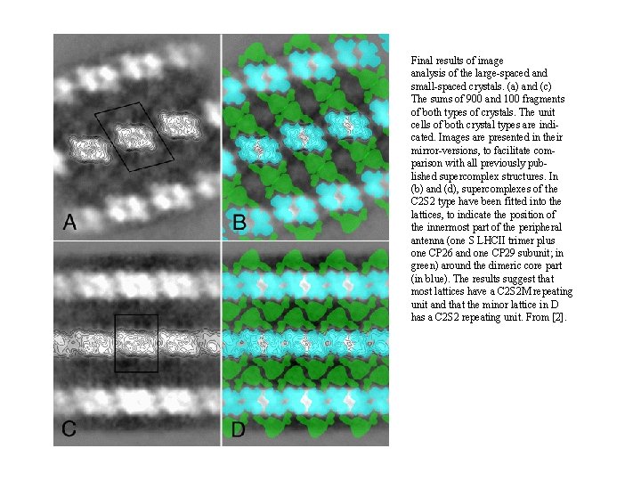Final results of image analysis of the large-spaced and small-spaced crystals. (a) and (c)