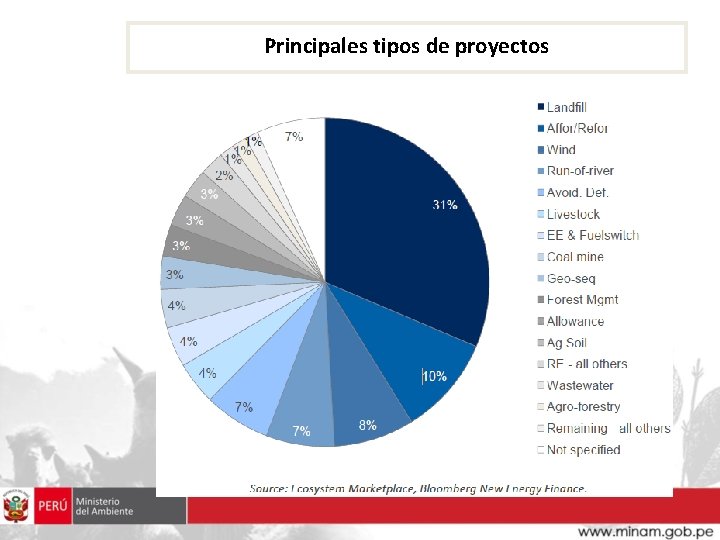 Principales tipos de proyectos 