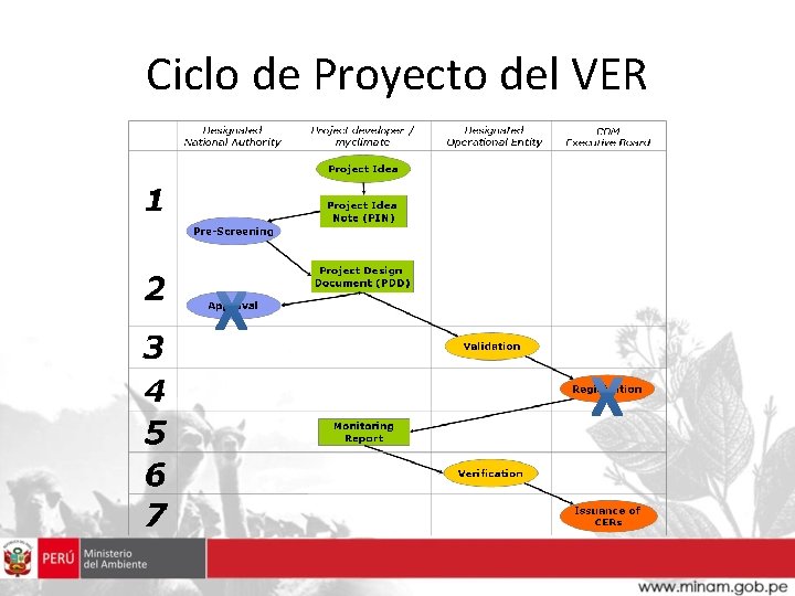 Ciclo de Proyecto del VER 