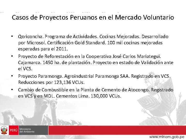 Casos de Proyectos Peruanos en el Mercado Voluntario • Qoriconcha. Programa de Actividades. Cocinas