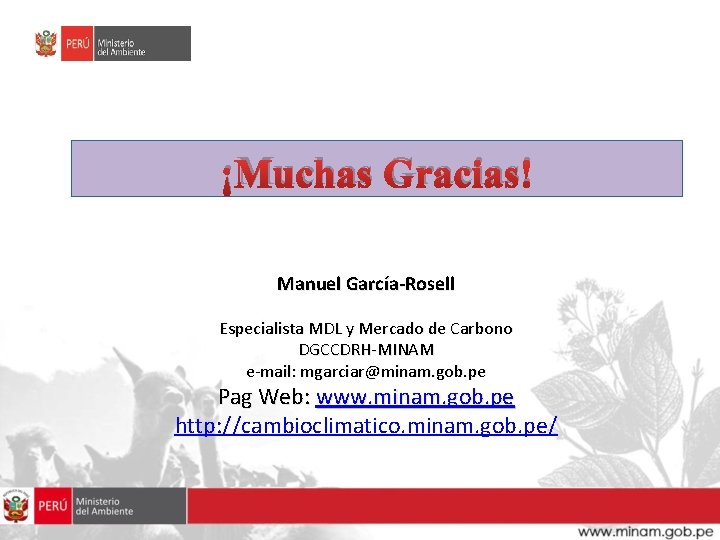 ¡Muchas Gracias! Manuel García-Rosell Especialista MDL y Mercado de Carbono DGCCDRH-MINAM e-mail: mgarciar@minam. gob.