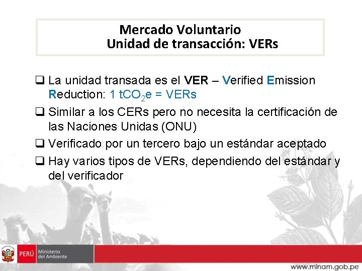 Mercado Voluntario Unidad de transacción: VERs q La unidad transada es el VER –