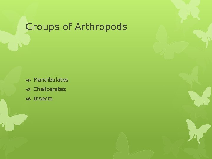 Groups of Arthropods Mandibulates Chelicerates Insects 