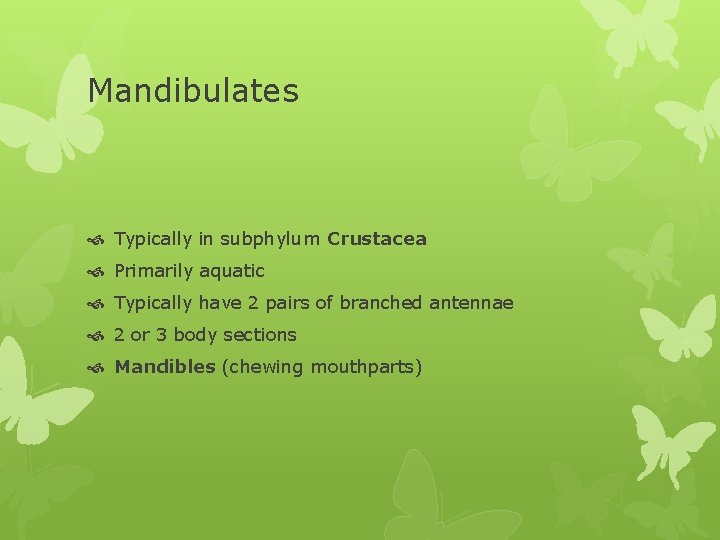 Mandibulates Typically in subphylum Crustacea Primarily aquatic Typically have 2 pairs of branched antennae