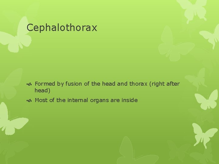 Cephalothorax Formed by fusion of the head and thorax (right after head) Most of