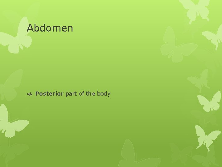 Abdomen Posterior part of the body 