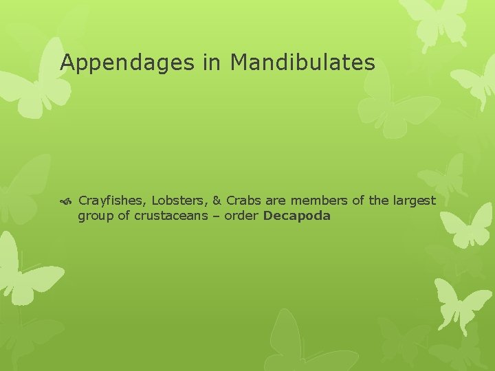 Appendages in Mandibulates Crayfishes, Lobsters, & Crabs are members of the largest group of