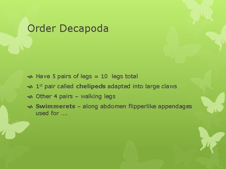 Order Decapoda Have 5 pairs of legs = 10 legs total 1 st pair