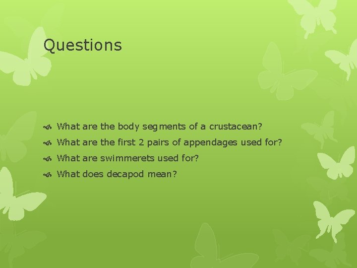 Questions What are the body segments of a crustacean? What are the first 2