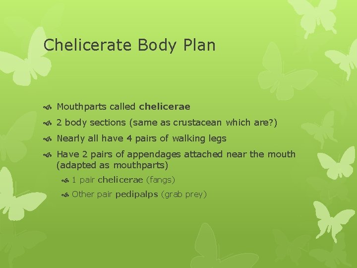 Chelicerate Body Plan Mouthparts called chelicerae 2 body sections (same as crustacean which are?