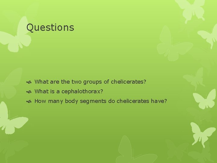 Questions What are the two groups of chelicerates? What is a cephalothorax? How many