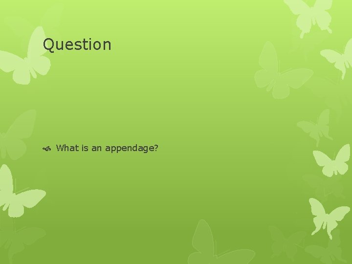 Question What is an appendage? 