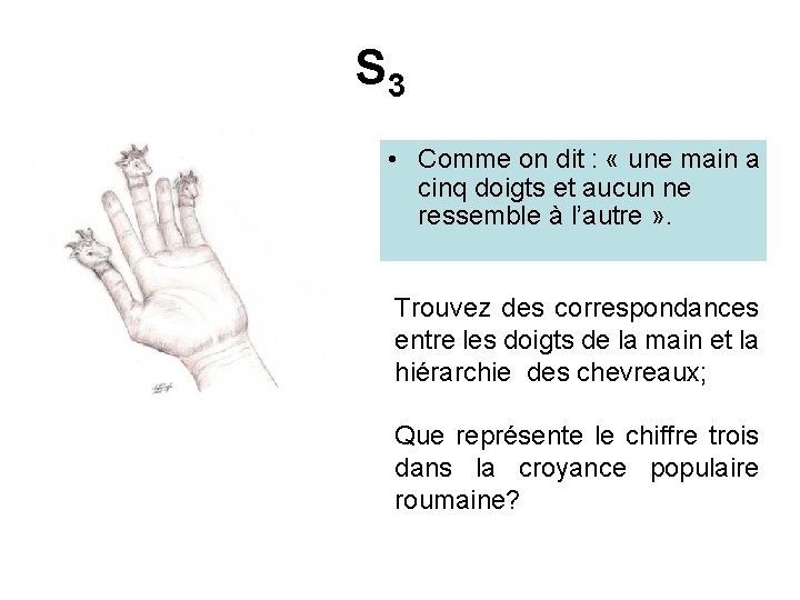 S 3 • Comme on dit : « une main a cinq doigts et