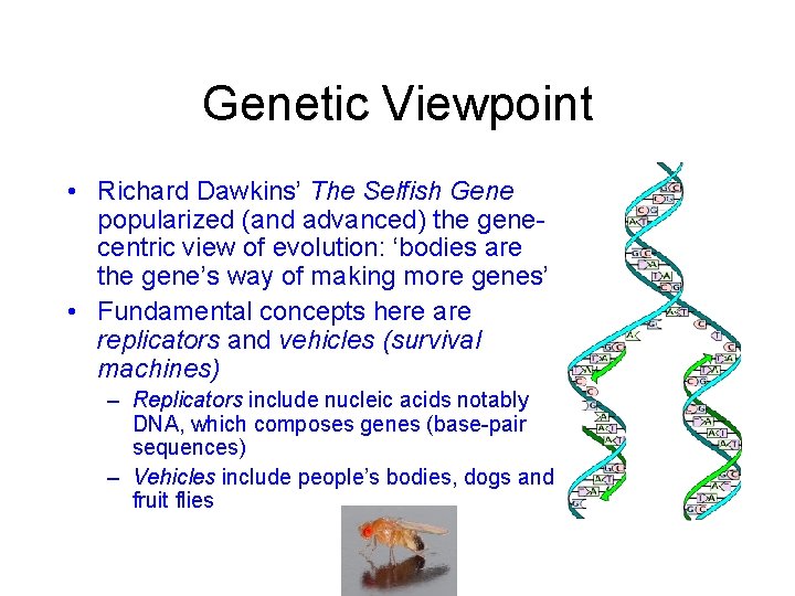 Genetic Viewpoint • Richard Dawkins’ The Selfish Gene popularized (and advanced) the genecentric view