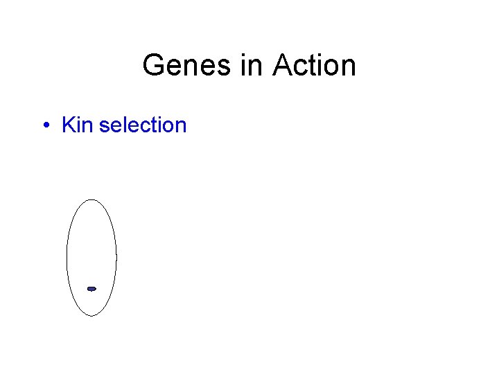 Genes in Action • Kin selection 