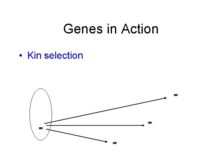 Genes in Action • Kin selection 