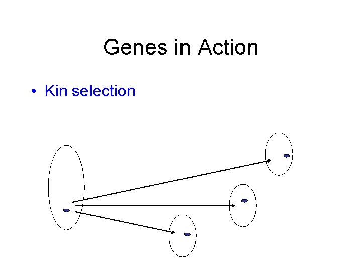 Genes in Action • Kin selection 