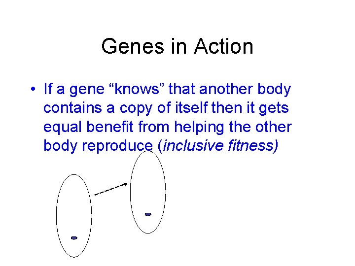 Genes in Action • If a gene “knows” that another body contains a copy