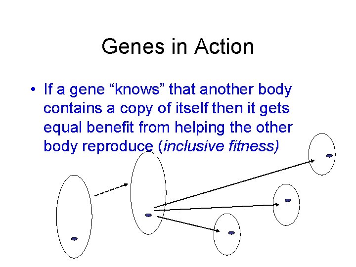 Genes in Action • If a gene “knows” that another body contains a copy