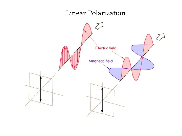 Linear Polarization 