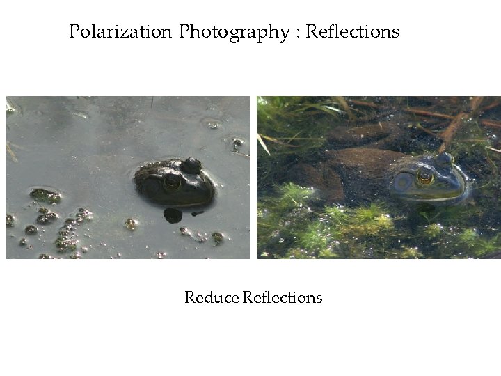 Polarization Photography : Reflections Reduce Reflections 