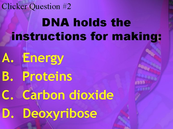 Clicker Question #2 DNA holds the instructions for making: A. B. C. D. Energy