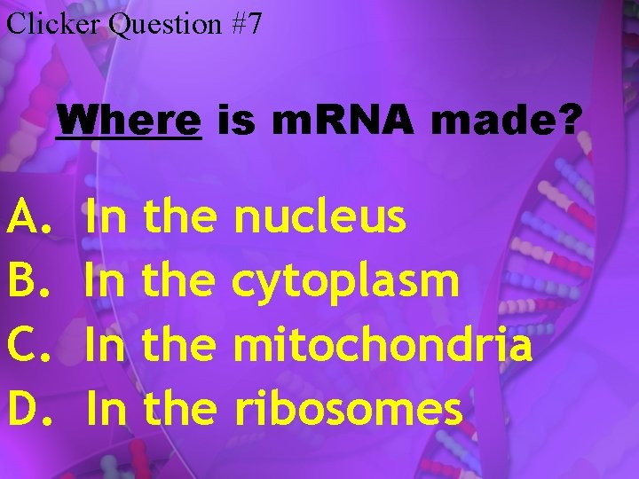 Clicker Question #7 Where is m. RNA made? A. B. C. D. In the