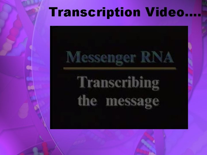 Transcription Video…. 