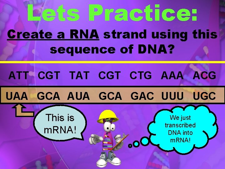 Lets Practice: Create a RNA strand using this sequence of DNA? ATT CGT TAT