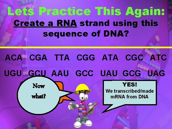 Lets Practice This Again: Create a RNA strand using this sequence of DNA? ACA