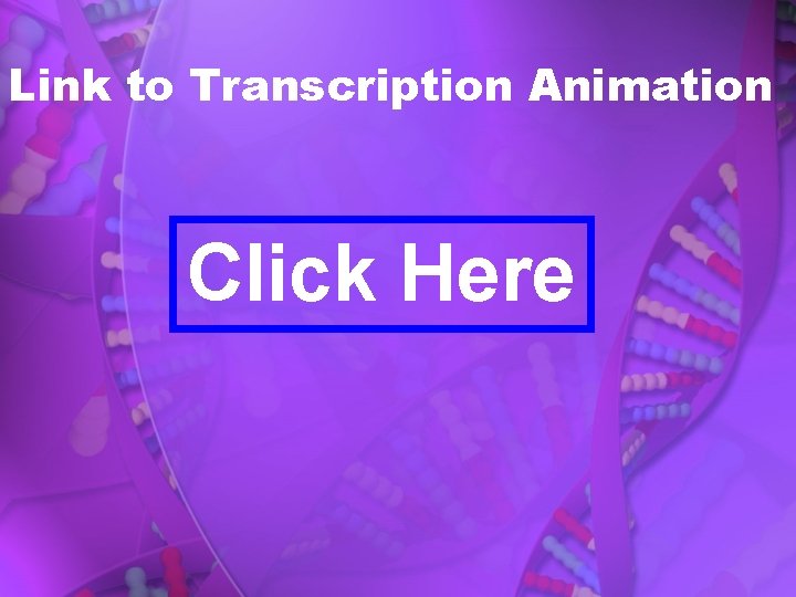 Link to Transcription Animation Click Here 