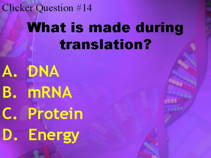 Clicker Question #14 What is made during translation? A. B. C. D. DNA m.