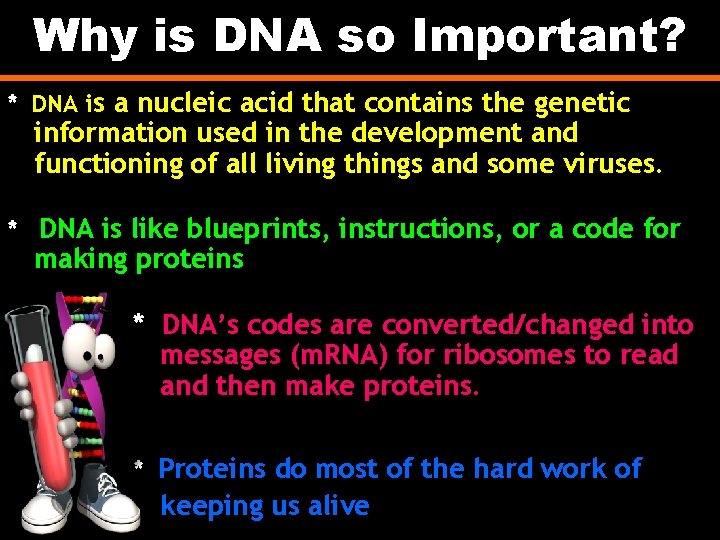 Why is DNA so Important? * DNA is a nucleic acid that contains the