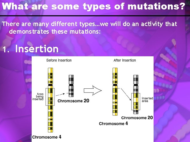 What are some types of mutations? There are many different types…we will do an
