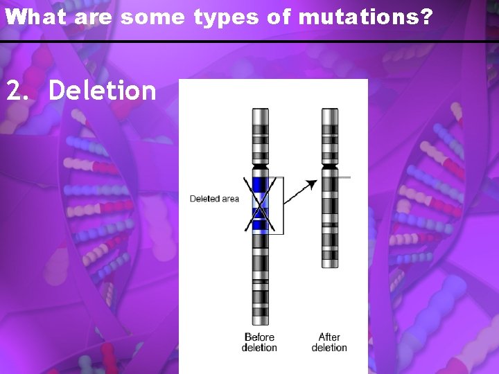 What are some types of mutations? 2. Deletion 