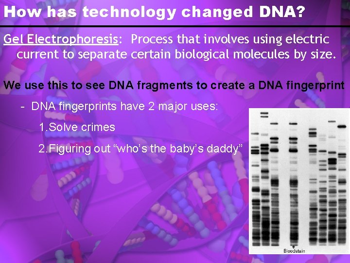 How has technology changed DNA? Gel Electrophoresis: Process that involves using electric current to