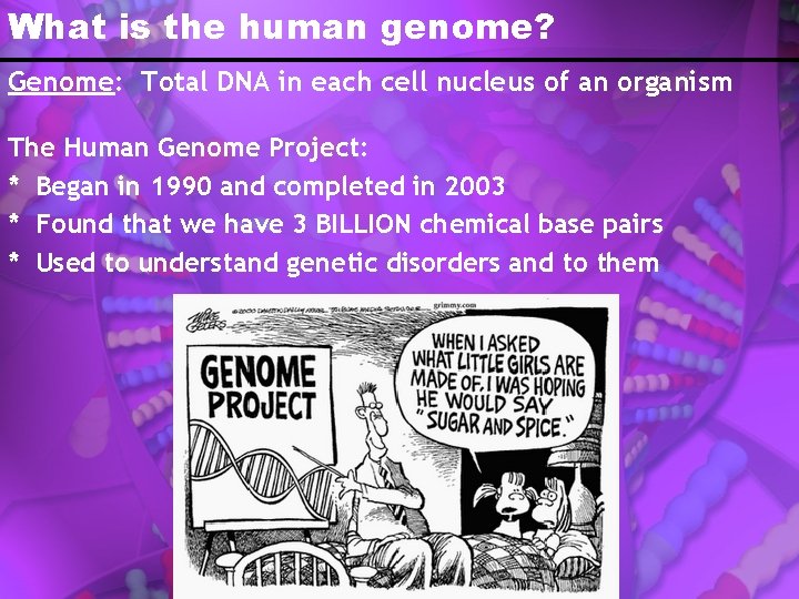 What is the human genome? Genome: Total DNA in each cell nucleus of an