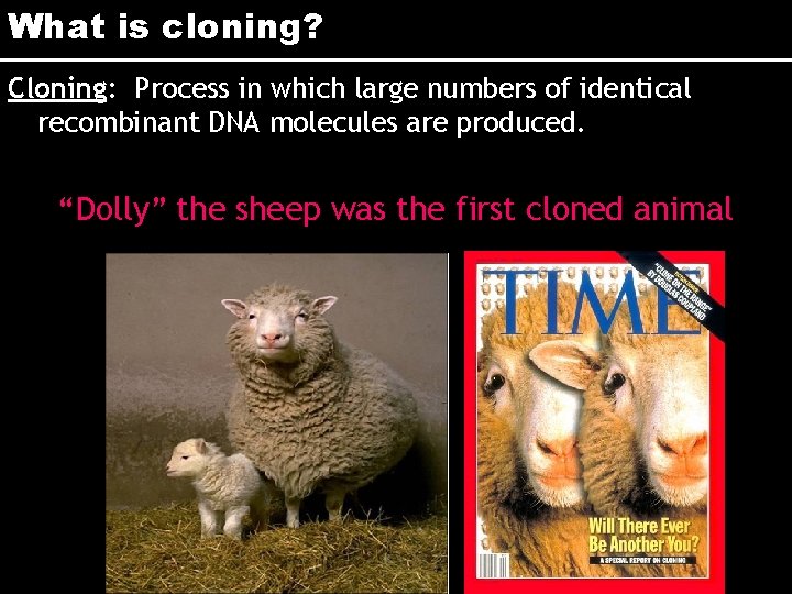 What is cloning? Cloning: Process in which large numbers of identical recombinant DNA molecules