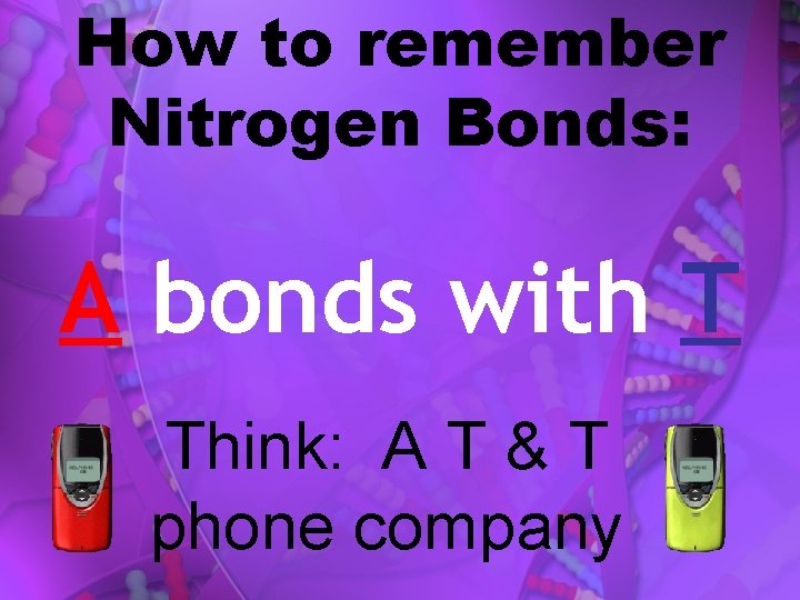How to remember Nitrogen Bonds: A bonds with T Think: A T & T