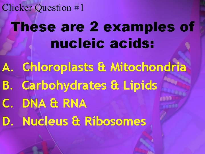 Clicker Question #1 These are 2 examples of nucleic acids: A. B. C. D.