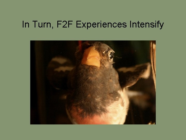 In Turn, F 2 F Experiences Intensify 